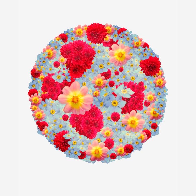 Les bouquets de fleurs