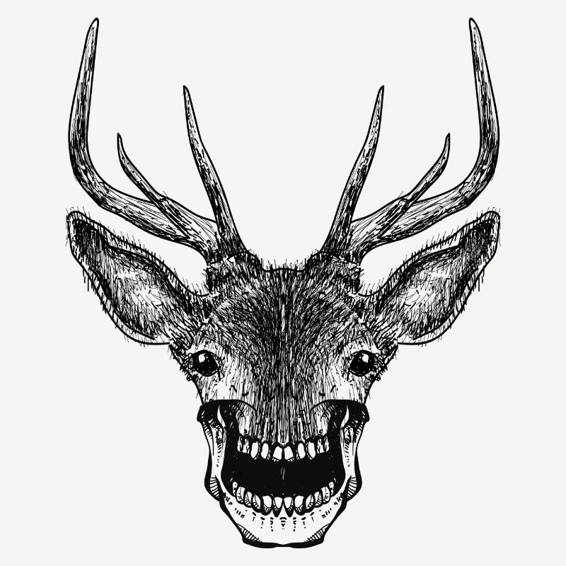 Crâne de cerf