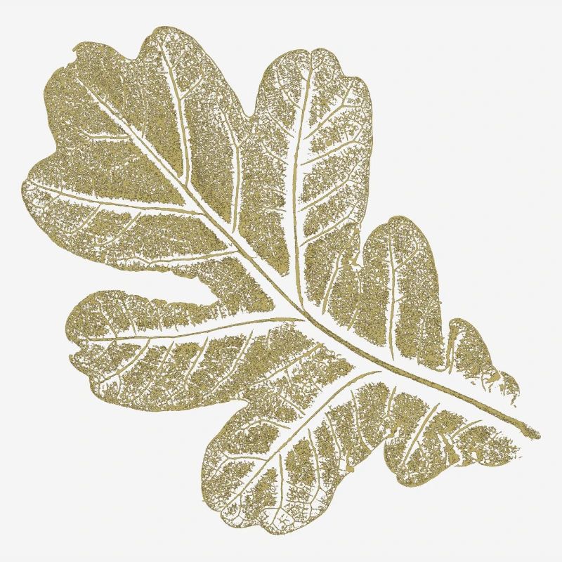 Eichenblatt - Blatt/ Eiche - Natur