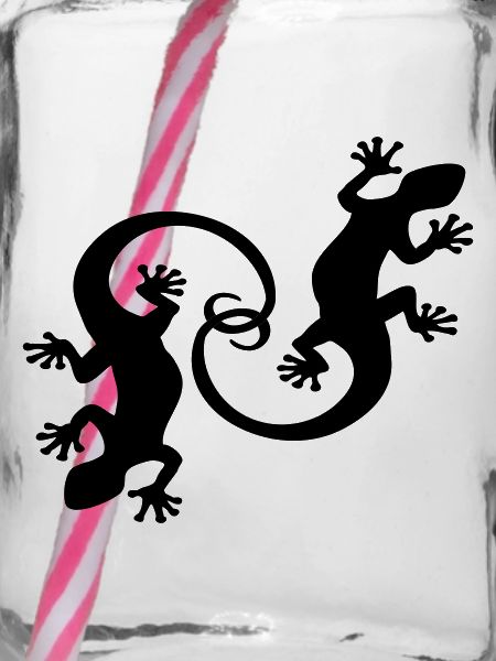 BALI - GECKO JUMEAUX