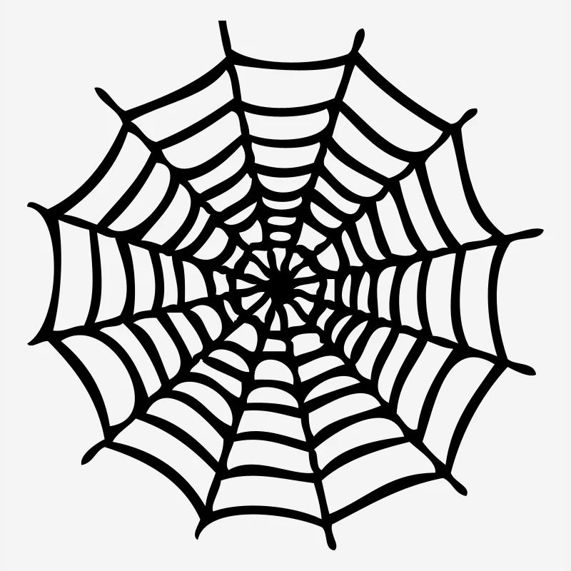 spider web1