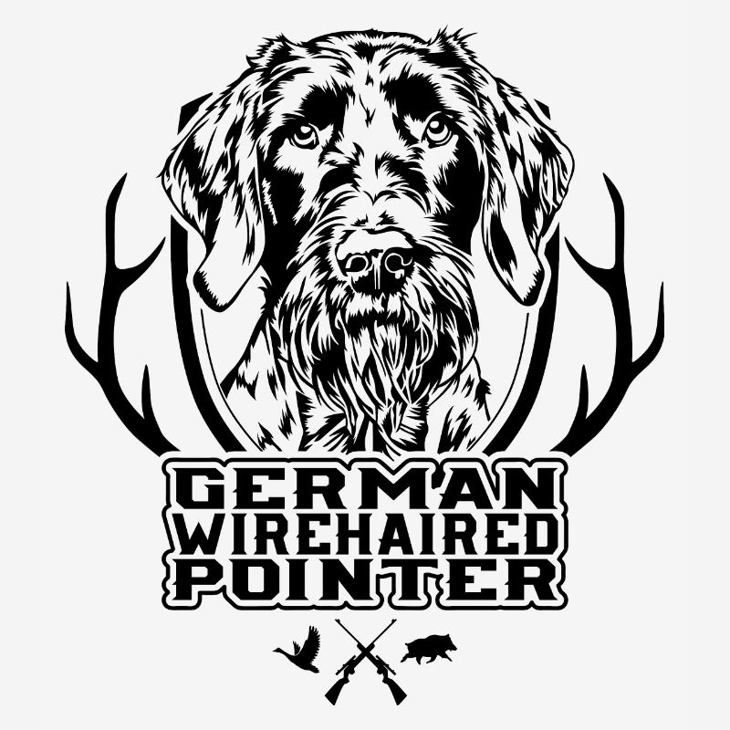 German Wirehaired Pointer Jagdhunde Hunde Wilsigns