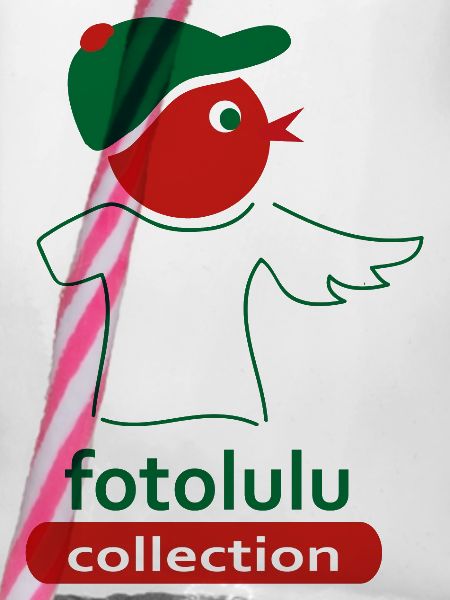 fotolulu collection