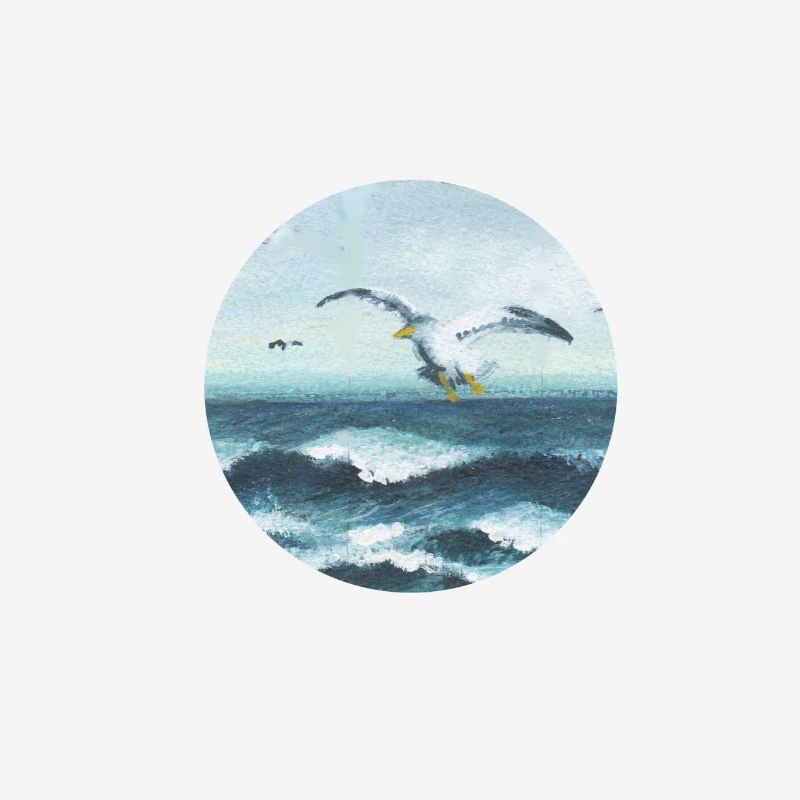 mouettes