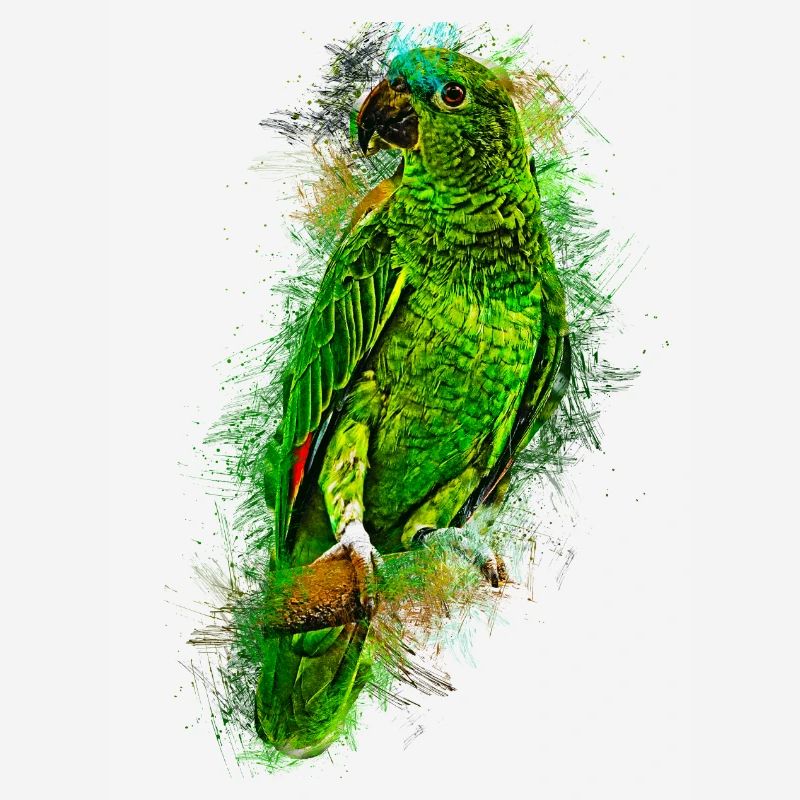 Papagei