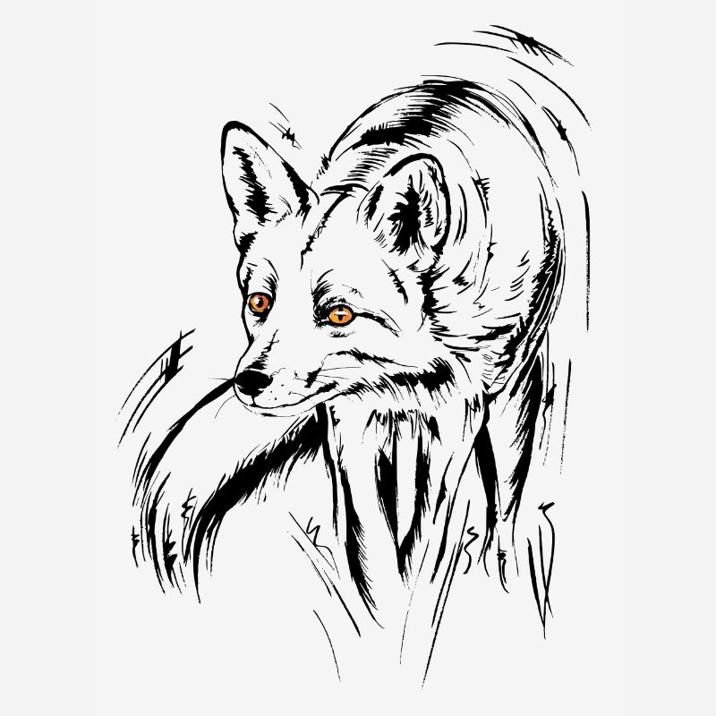 fox, red fox