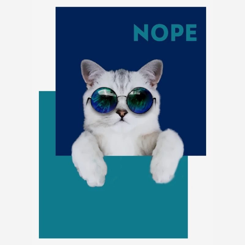 Cat Nope