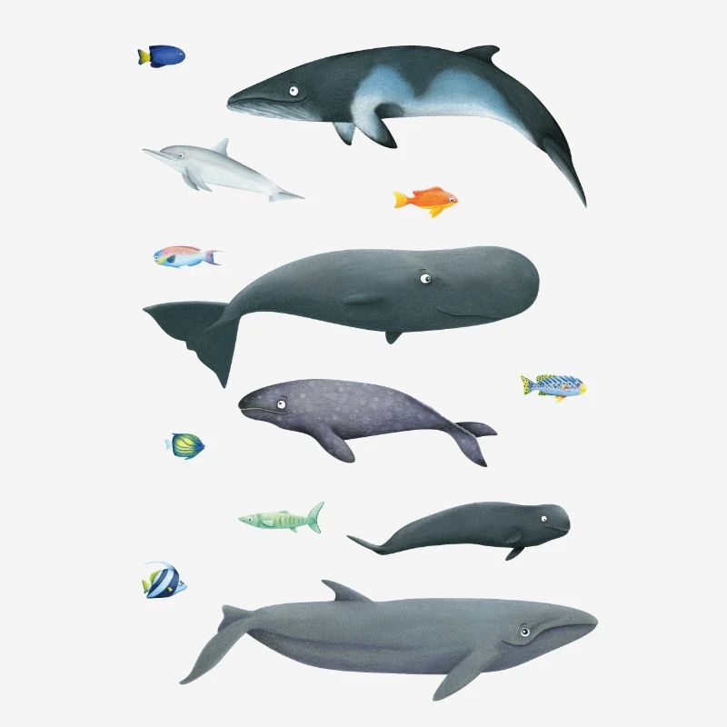 Patterns with whales and fish / underwater world
