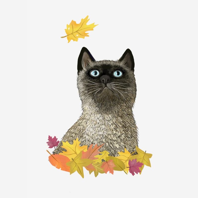 Chat d’automne