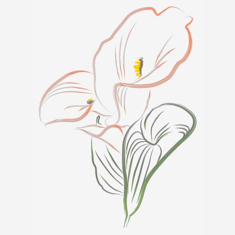 CALLA mix AutmnOrange2