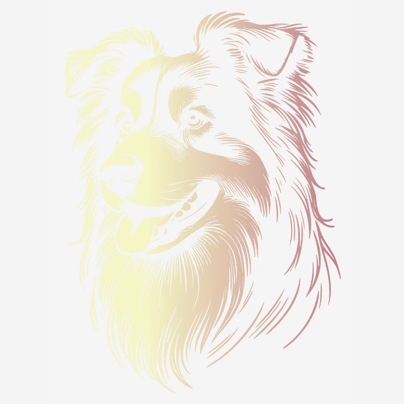 Australian Shepherd Traits 2 Gradient