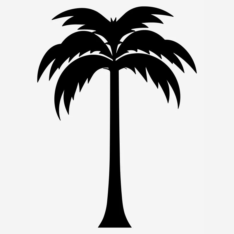 palm tree