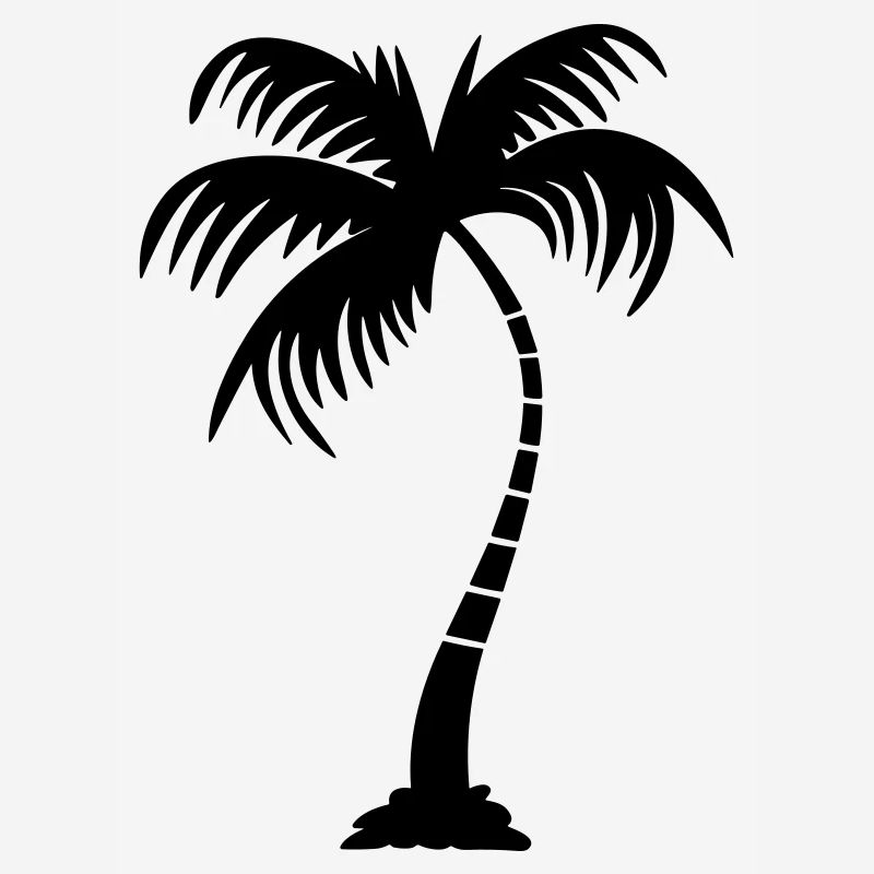 palm tree
