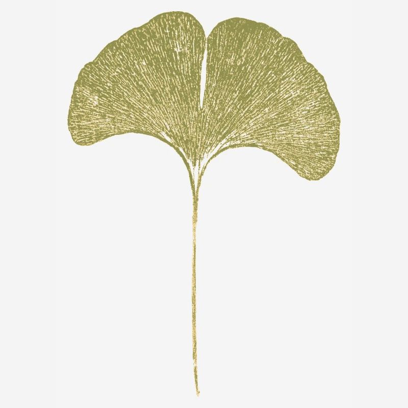 Gingko Leaf