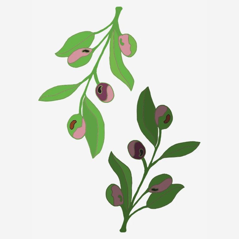 branches d’olivier, vert rose