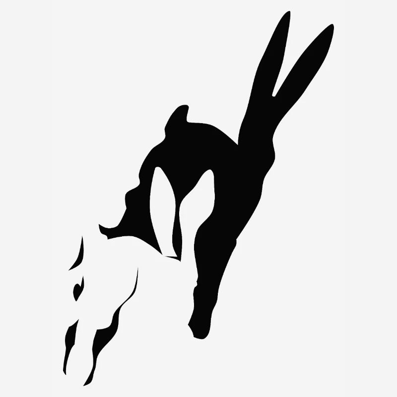 Bunny runs shadow bunny Easter bunny rabbit hop