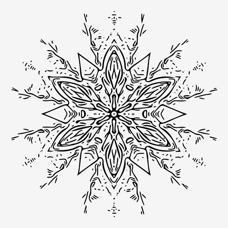 Mandala Flower Pattern Lines Abstract Form