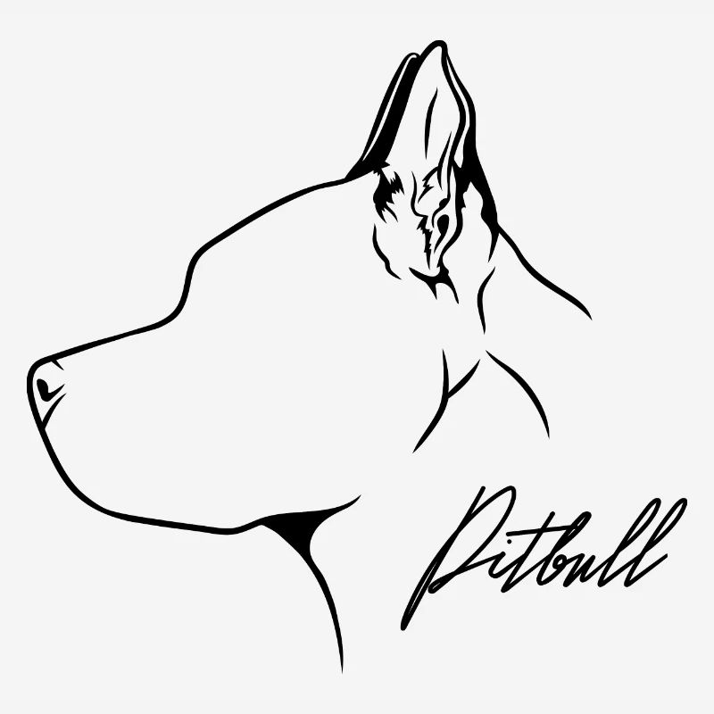American Pitbull Profile Chiens Chien Wilsigns