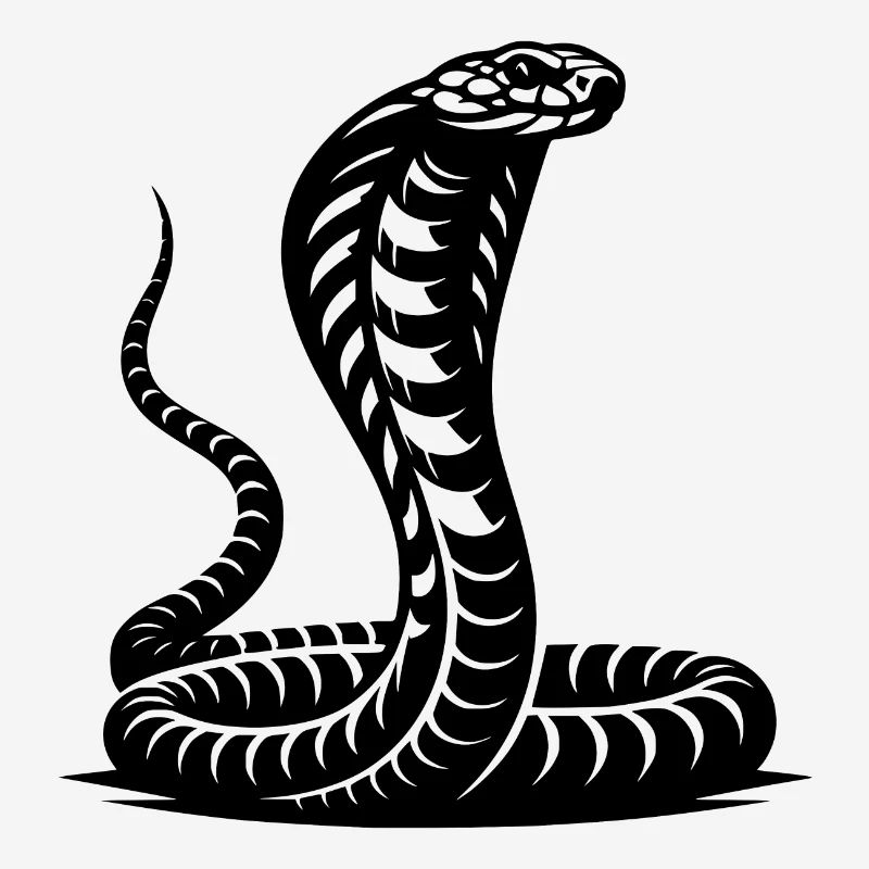 Serpent Cobra Cou Bouclier Menaçant Conception Posture