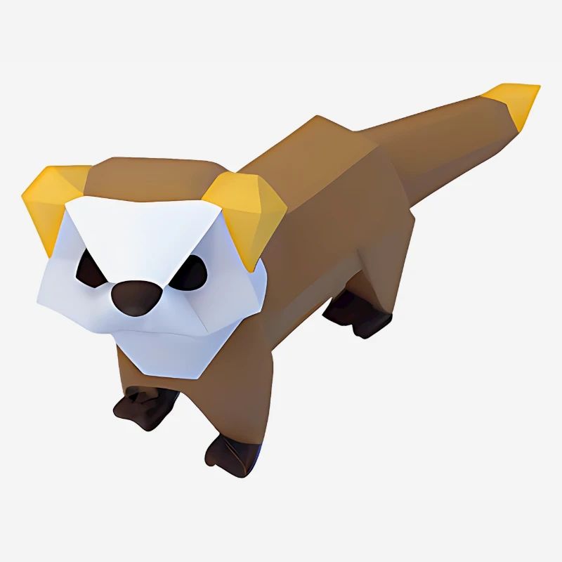 Furets polygonaux