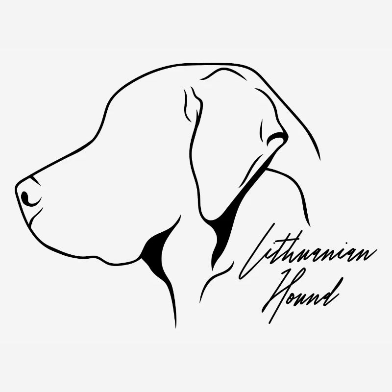 Lithuanian Hound Profil Jagdhunde Hunde Wilsigns