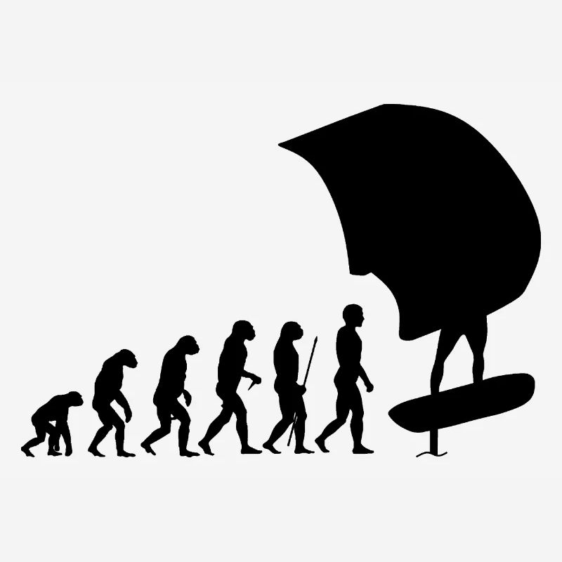 Wingfoil Wingfoiler Evolution