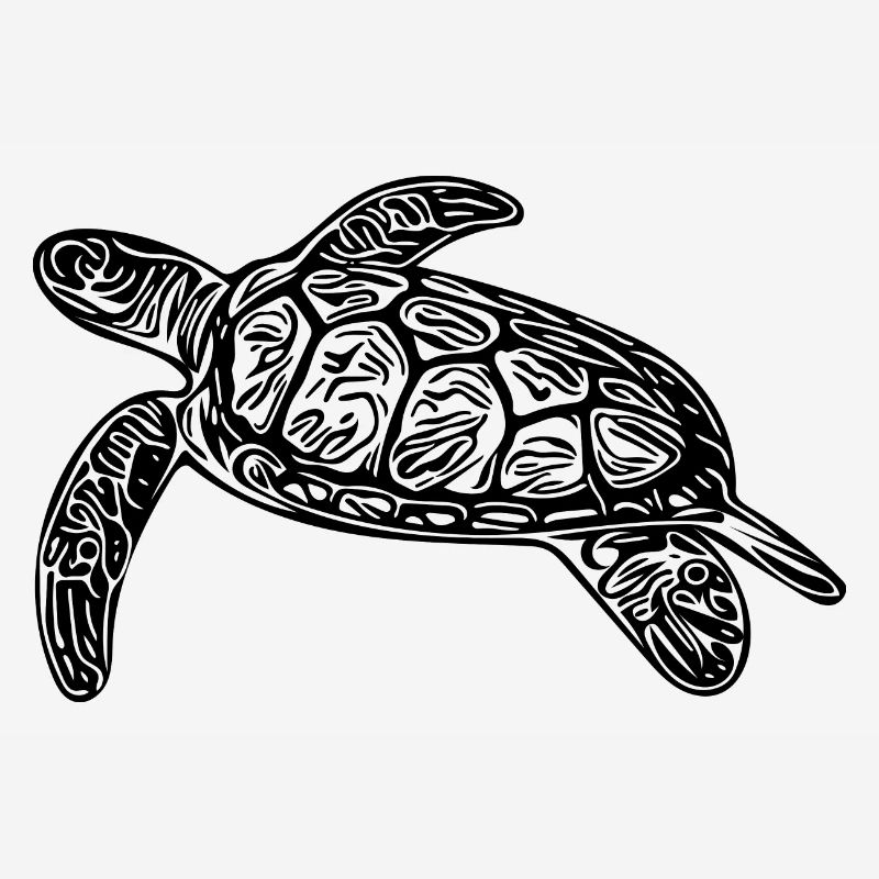 Small floating turtle