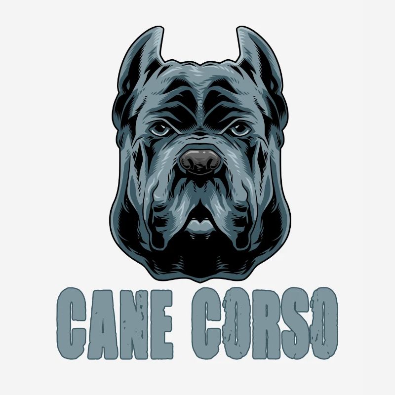 Cane Corso for a Cane Corso owner Cane