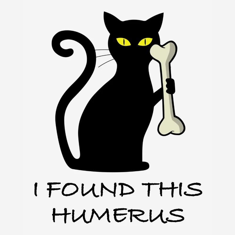 I found this humerus | funny cat