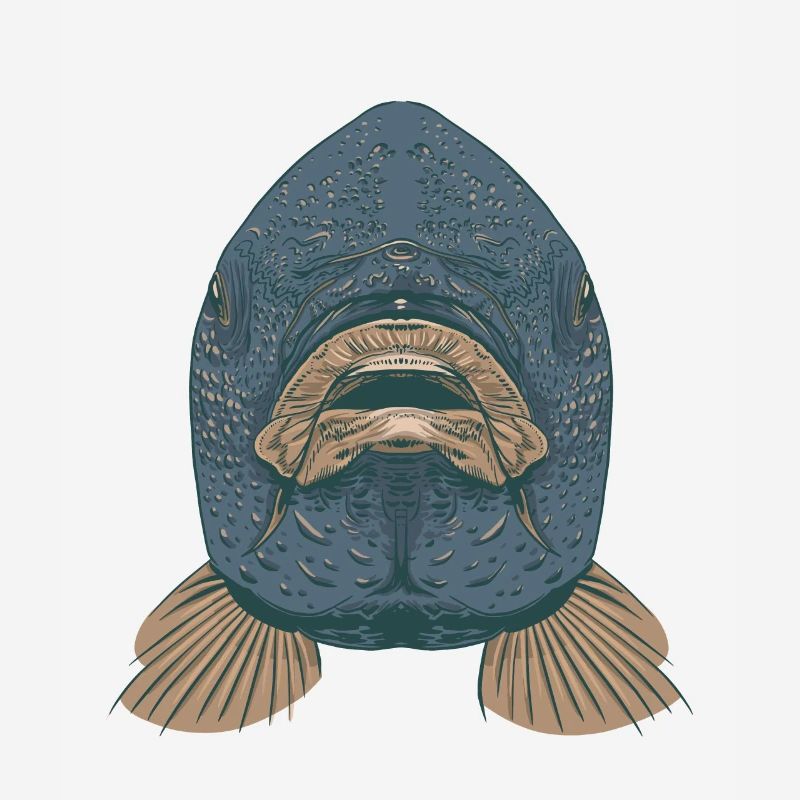 carp