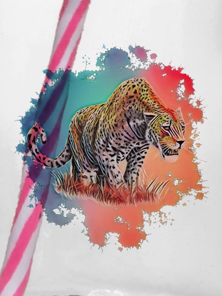 Leopard