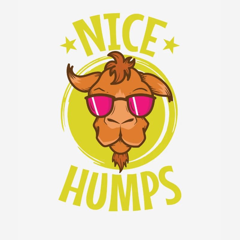 nice humps cool camel dromedary