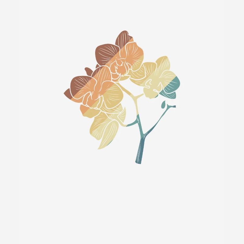 Orchidée Fleur Fleur Botanique