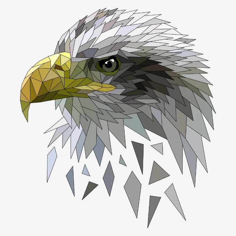Pygargue à queue blanche low polygones géométriques