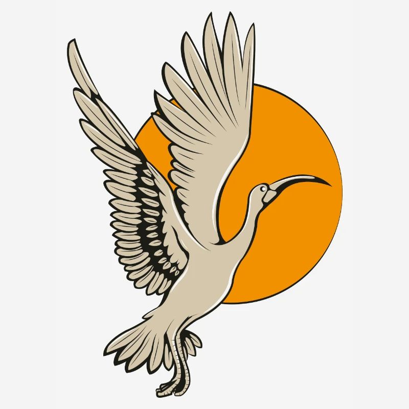 Ibis
