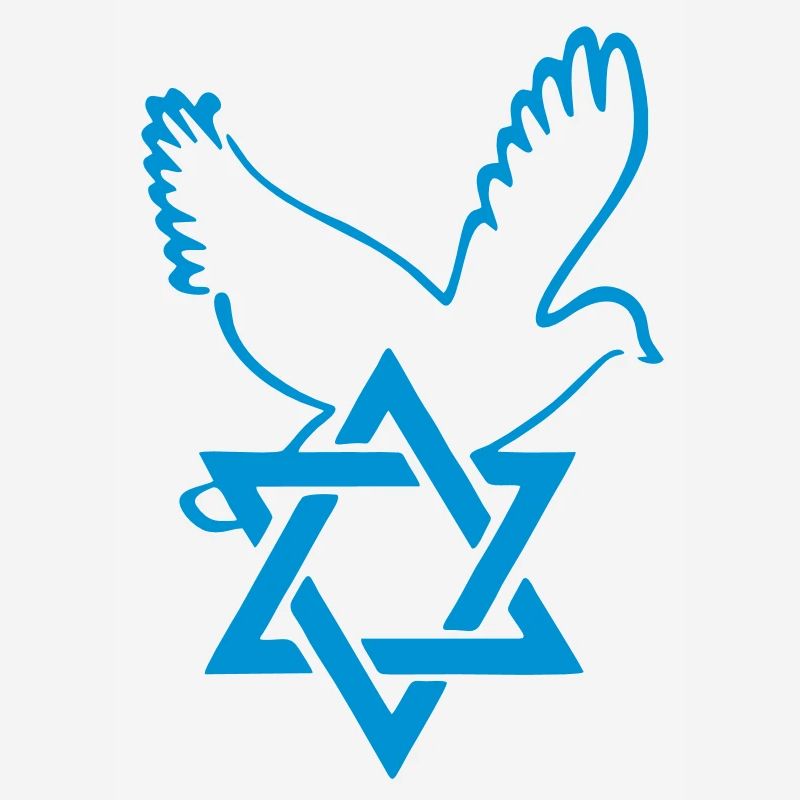 Ami d'Israël