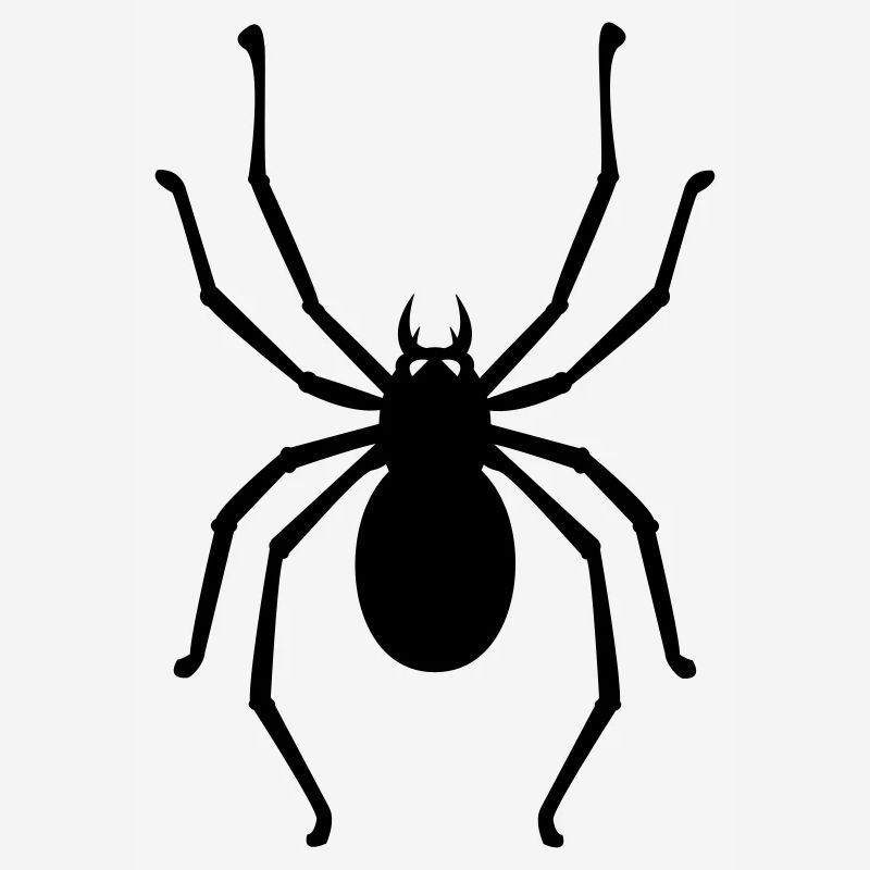 spider