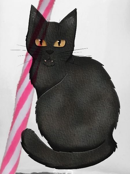 Schwarze Katze