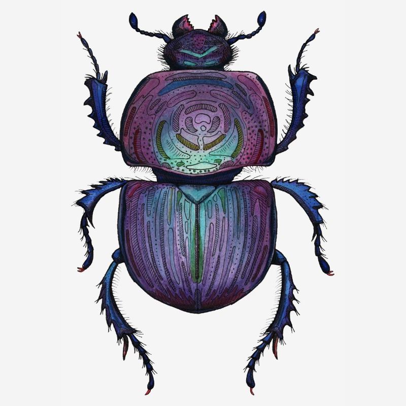 Big Beetle - Coléoptère géant