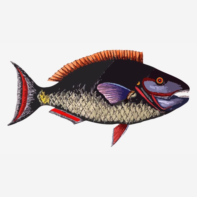poisson