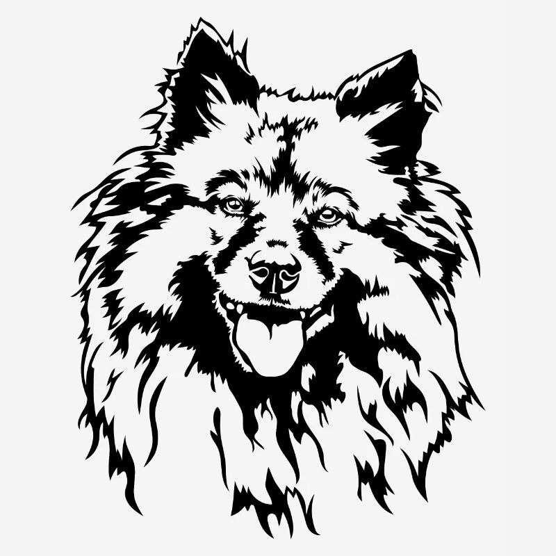 Wolfsspitz Keeshond Hundeportrait Hunde Wilsigns