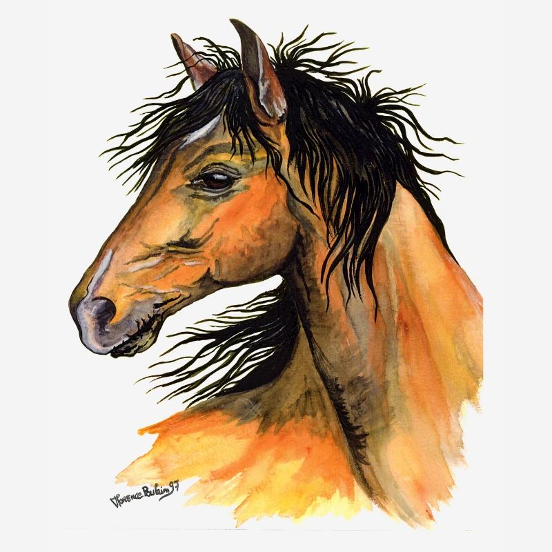 tête de cheval