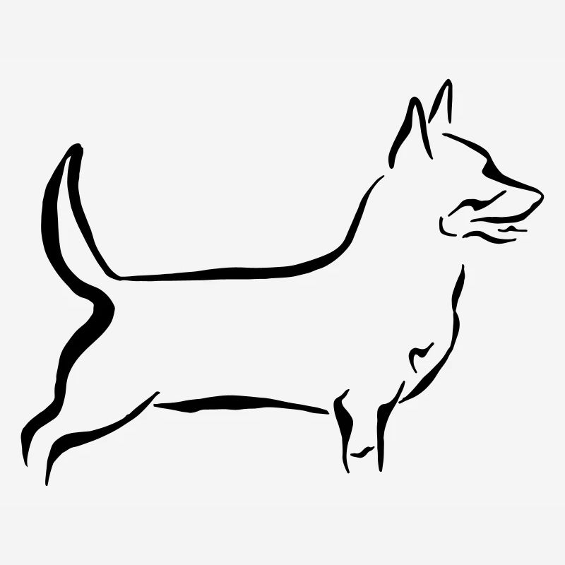 Lancashire Heeler