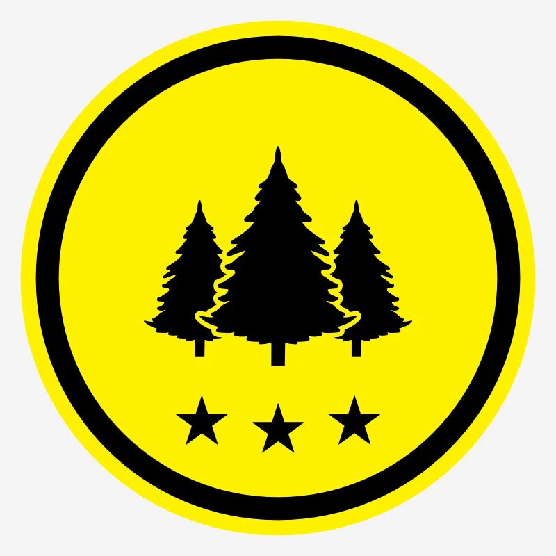 Tree Fir Forest