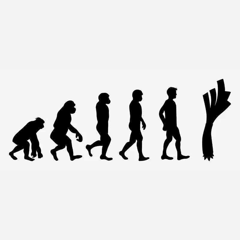 Lauch Evolution