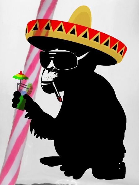 funky monkey