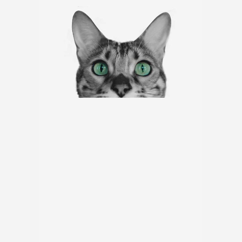 Chat Chats