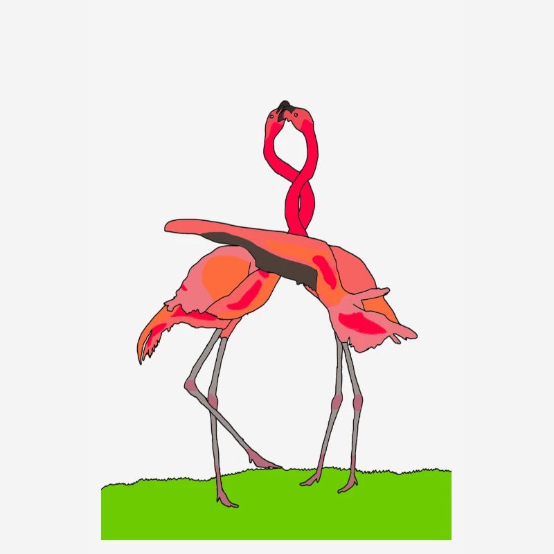 flamingos