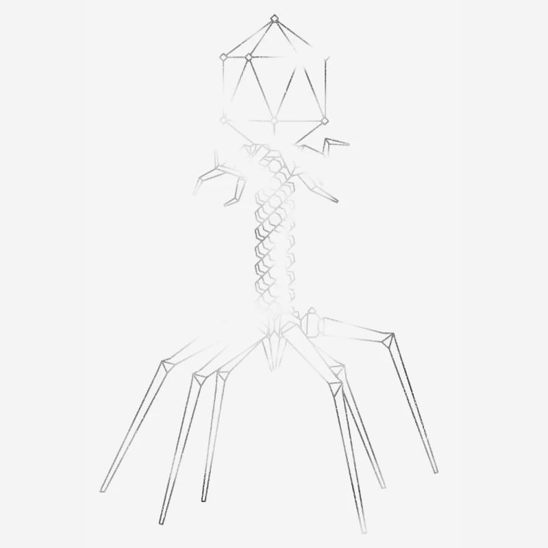 Phages