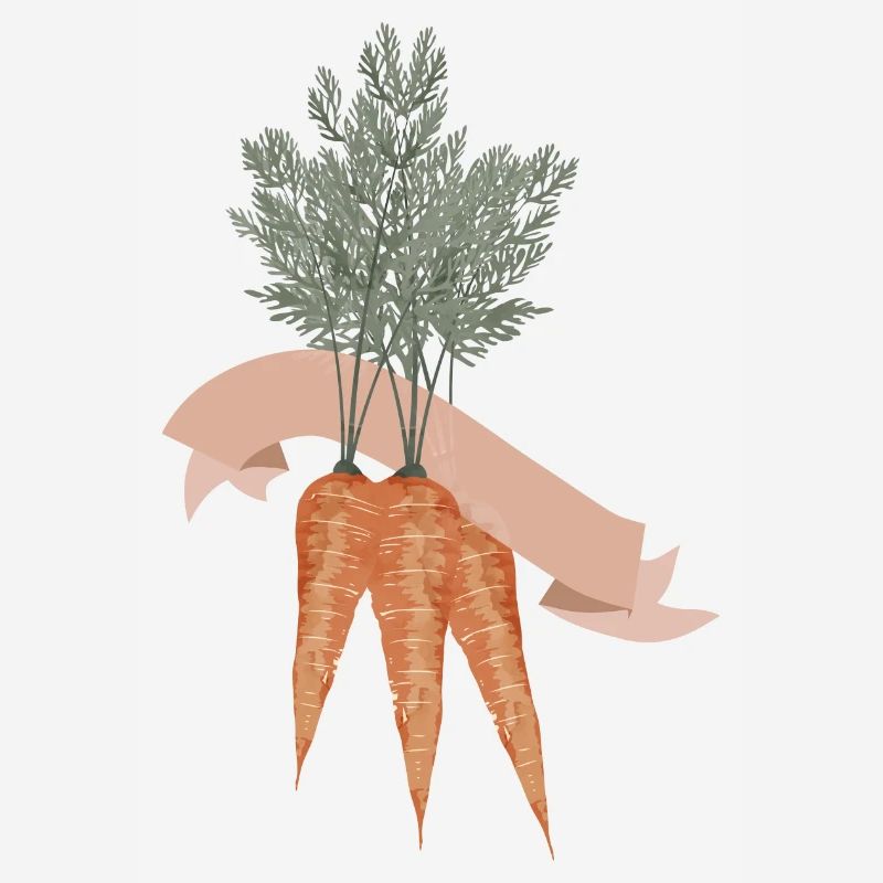 Three carrots in a bunch with blank banner
